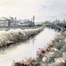 2026.01 冬の川辺（糸島市瑞梅寺川）