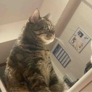 Web予約の問題 2