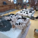 栃木拠点・12月23日