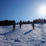 らいおんはーと