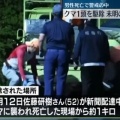 音楽・芸能 - 【北海道】人を襲っていた殺人グマでかすぎ