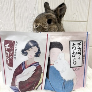 プロケージブラック いよいよ登場！！ : うさぎブログ うさぎのしっぽ