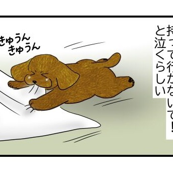 犬と猫のシーツ交換