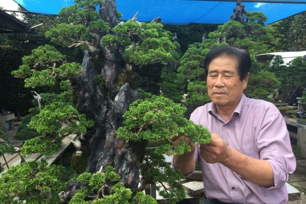 雨竹 盆栽 水石 便り - 木村正彦