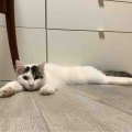 それぞれに、シュワッチ！