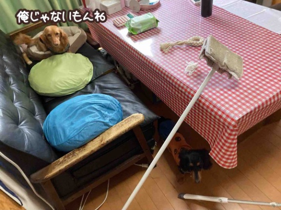 豪快にやらかす。