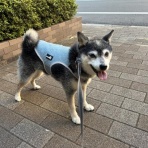 観音裏黄昏備忘録