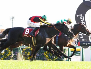 【東スポ杯2歳S】パントルナイーフ強すぎワロタｗｗｗ