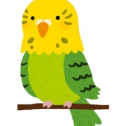 韓国人「インコという単語も日本語だったんですね・・・」意外に日本語語源が多い韓国語の現実に韓国人しょんぼり