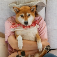 だっこ
