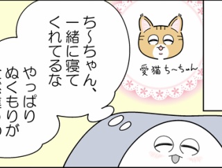 愛猫マジック