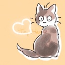 保護猫エピソード｜「これ、食べられないの？」お皿を知った日のハナちゃん