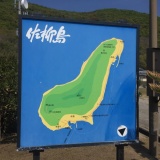 佐柳島行ってたくさんの猫達と会ってきたよ！（画像あり）