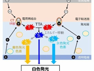 乾電池1本分の電圧で発光する白色有機ELを開発