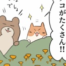 きのこ狩りが無料開放の国