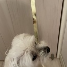 反省してる？