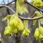 【言葉が変われば未来も変わる】