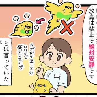 【ド元気】カチョさん、安静にして━━