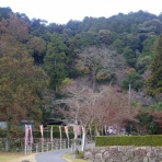 里山里海だより