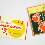 『16年前に旅行した富山のおみやげ　置き薬と絶品ますの寿し』の画像