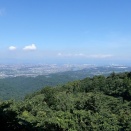カンカン照りで野良仕事は無理