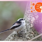 いわき天文同好会