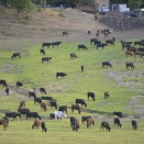 吉澤正巳氏 講演会のお知らせ