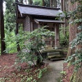 佐羅早松神社、訪ねました！