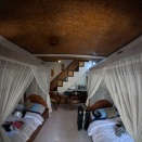 2025.10　今年2回目のトランバンウミウシログ（1/2）