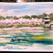 透明水彩画原画桜と山吹の散歩道 Outdoor sketching] Draw in 30 minutes! Transparent