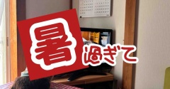どこにも行けなかった日。