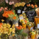 春隣、春近し、春信