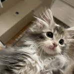 名古屋市守山区 ペットショップワンラブ カインズ守山店のスタッフブログ