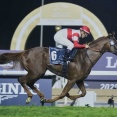ドバイシーマ勝ち馬に評価の価値はないのか