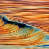 『黄金の波』の画像