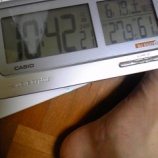 2010/06/19-10:38 SAT ߡڤռ㳲ꡣΤߤƬ餺⤢ꡣ٤β