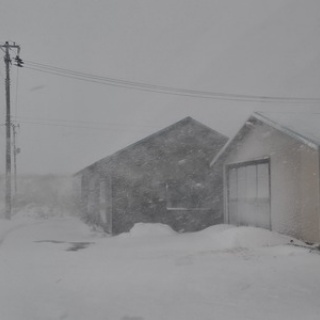 鳥海の麓 「北村くらた農園」より愛を米て。　