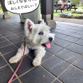 まだまだ、続く『ひんやり床愛好家』