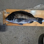 千倉港の海況日記　釣具屋あどう