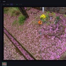 【アプリ】 アプリ制作 -- PHOTOAPLI_MINI Ver5.6 -- 写真編集アプリ