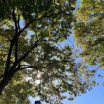 おひとり様eighter ですけど