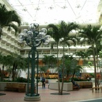 ウォルトディズニーワールドが好き！