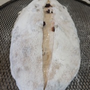  �����Τʤ������ǾƤ��Ƥߤ�