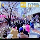 東京は今日（3/29）がお花見ピークかな🌸 中目黒→中目黒は大渋滞を覚悟して出かけます😆