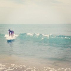 本日は公休を頂いてます。