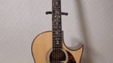 超高級ギター買ったけど（※画像あり）