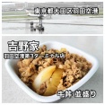 羽田空港国際ターミナル内にある「吉野家 羽田空港第3ターミナル店」に伺い 飛行機見ながらリーズナブルにランチをキメてきました！