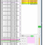 虎の子クワッドのブログ