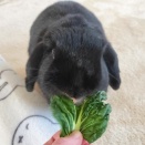 初と今年初と。