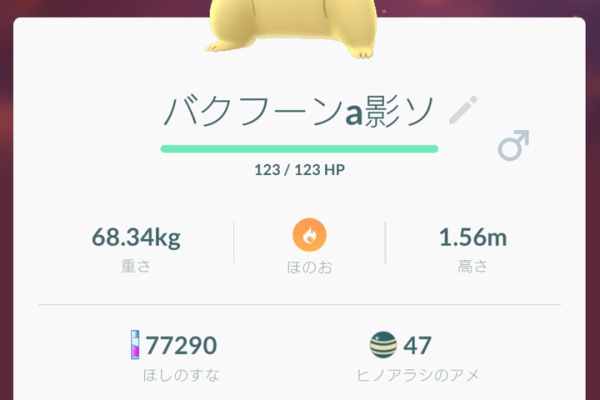ポケモンgo攻略まとめもり 17